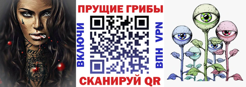 Галлюциногенные грибы ЛСД  omg вход  Томари 